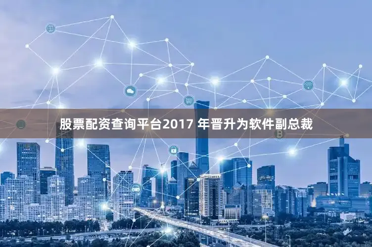 股票配资查询平台2017 年晋升为软件副总裁