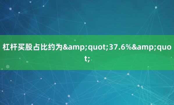杠杆买股占比约为&quot;37.6%&quot;