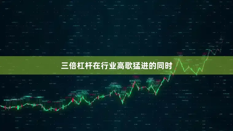 三倍杠杆在行业高歌猛进的同时